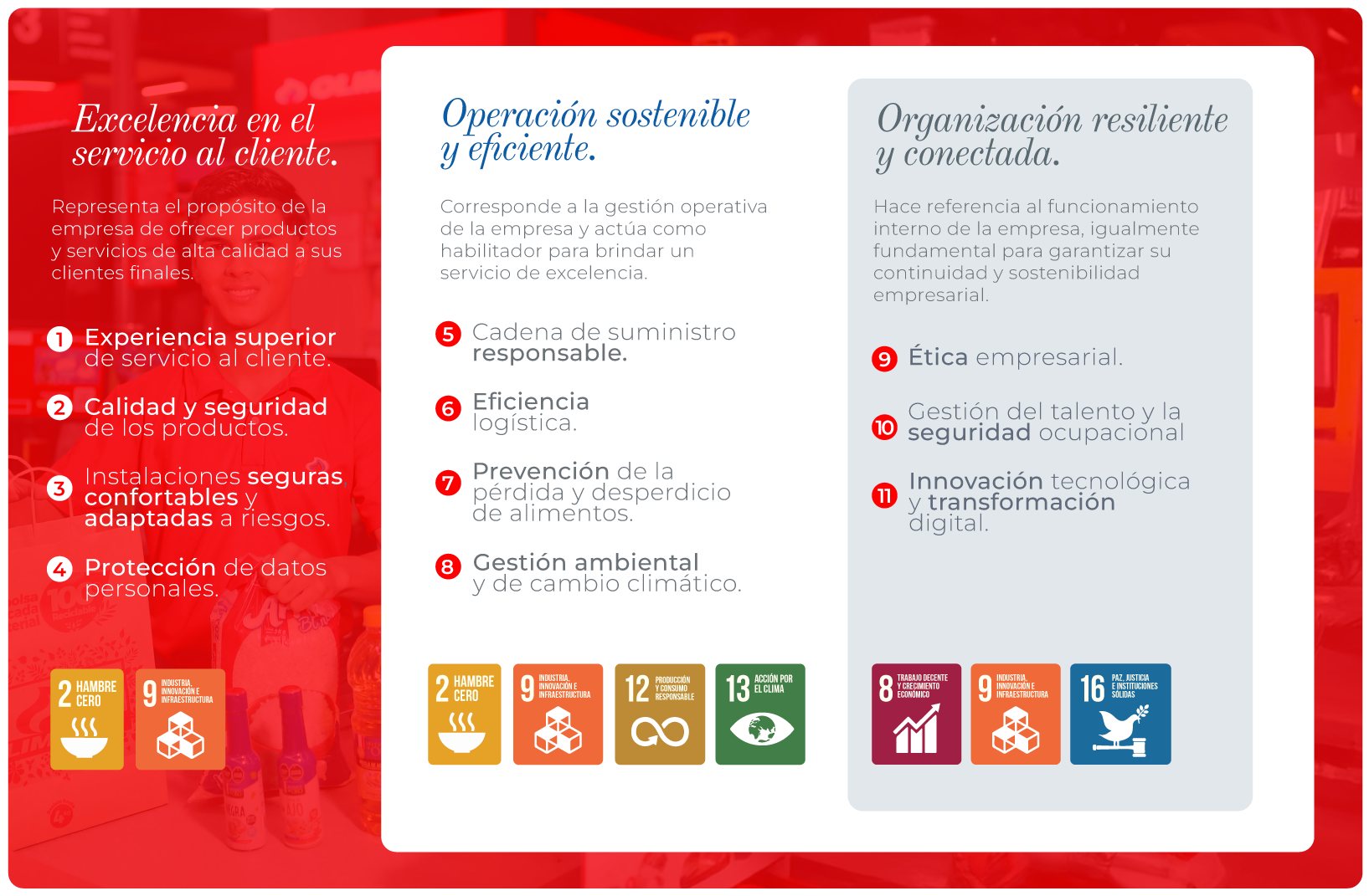 MODELO-DE-SOSTENIBILIDAD_RV2